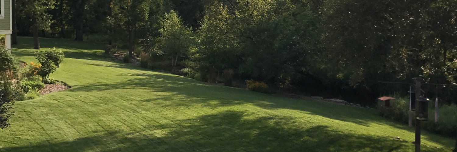 msvsta's profile banner image