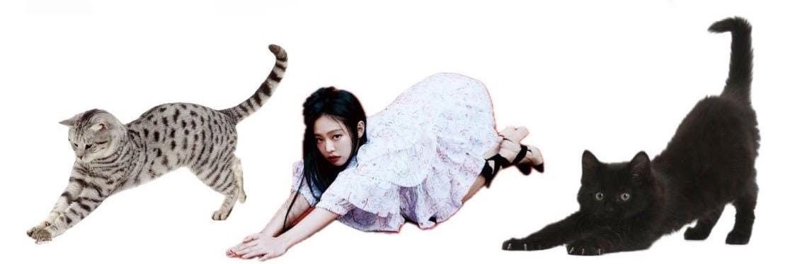 𝓙² ꕤ banner