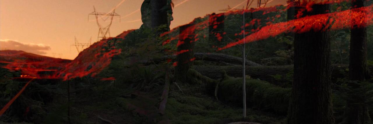 warmquietnight's profile banner image
