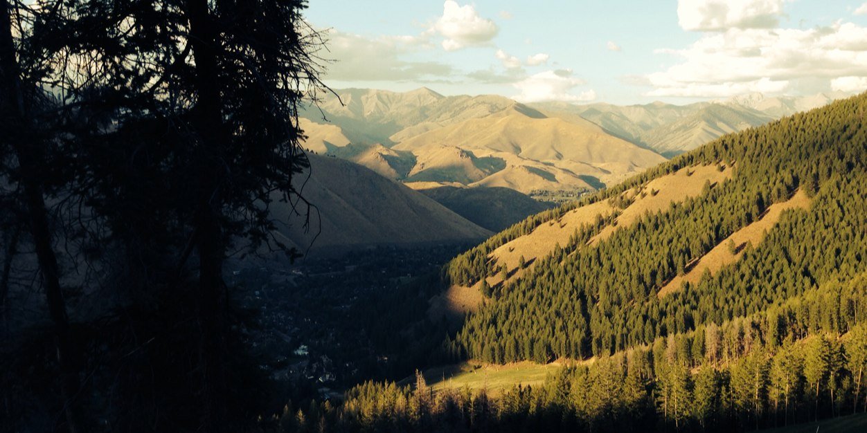 markgilbreath's profile banner image