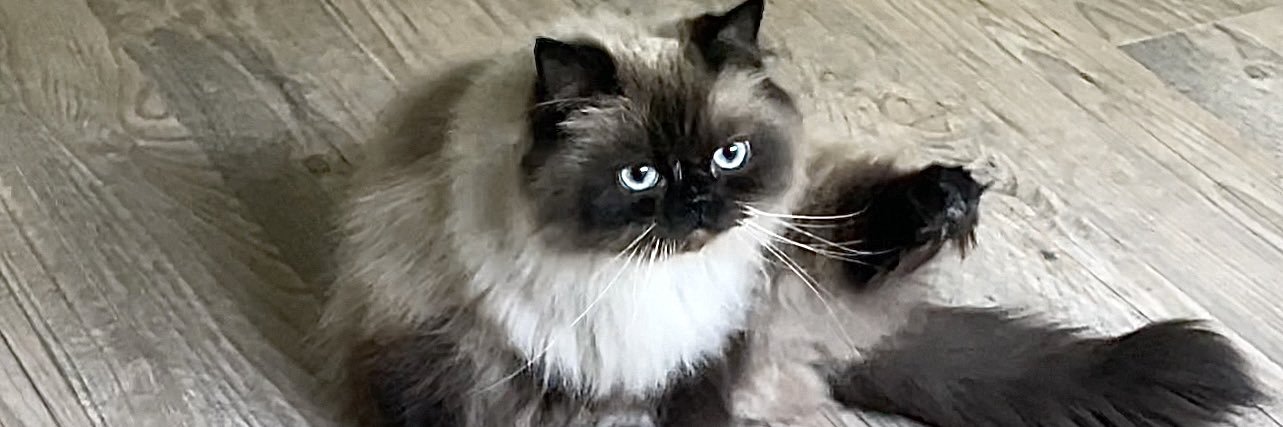 floridalifejack's profile banner image