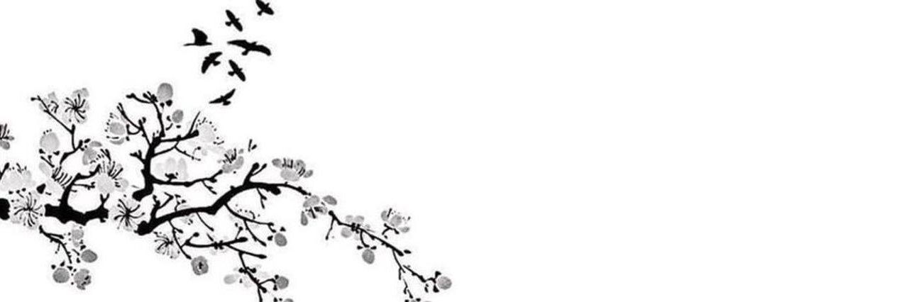 v9uuu's profile banner image