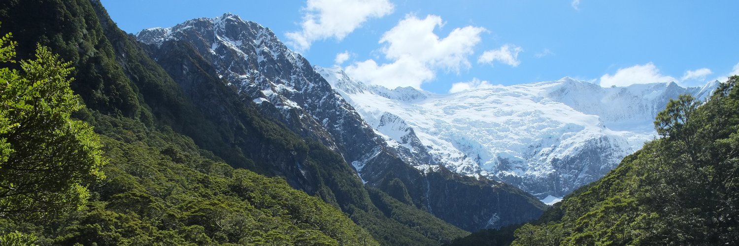 EcoBear | ZOOGETHERNESS banner