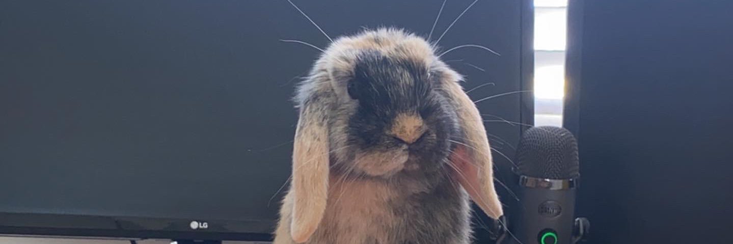 Muffin's banner