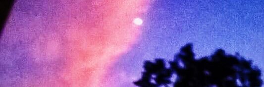 ichbinwesfalia's profile banner image