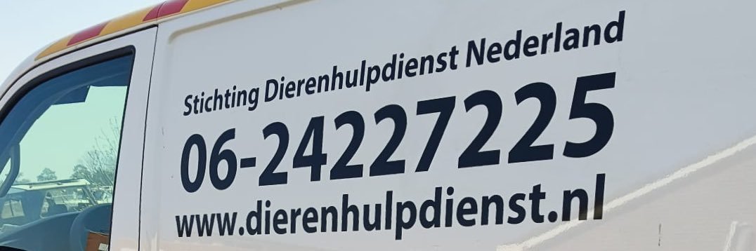 Stichting Dierenhulpdienst NL / Reptielenopvang banner