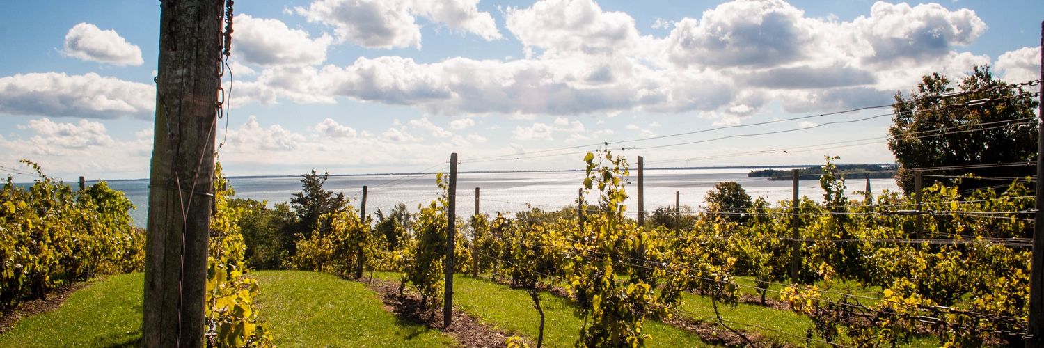 Canadian Lipid & Vascular Summit 2023 banner