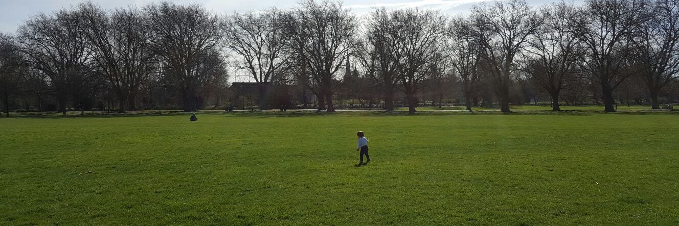 Carola de la Fuente banner