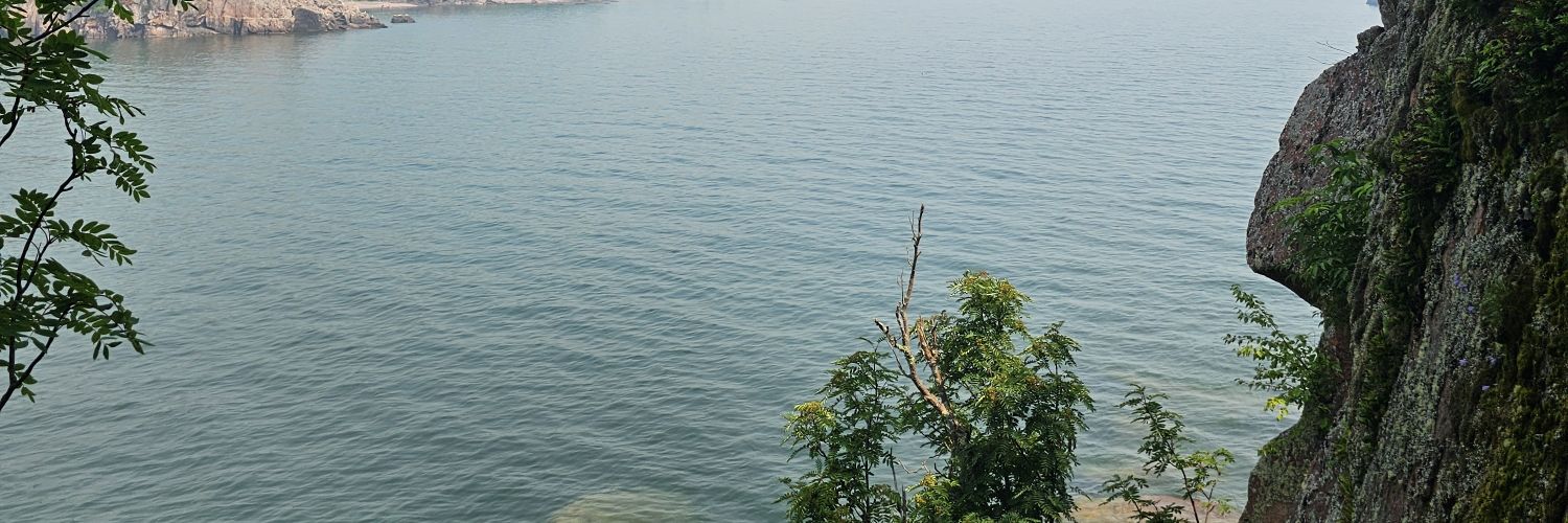 mony_tinks's profile banner image