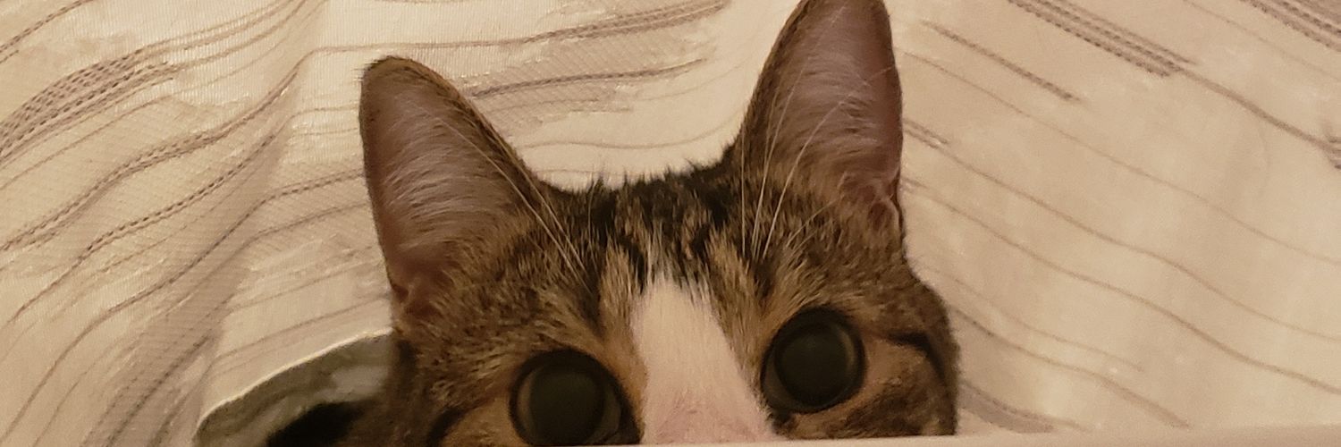 itshannie03's profile banner image
