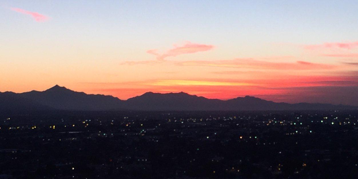 Terese Dennison banner