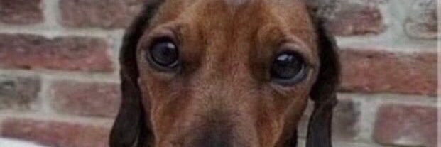 Sean P McCarthy Fans Puerto Rico banner