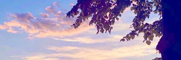 verylvlytree Profile Banner