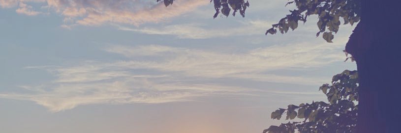 verylvlytree's banner