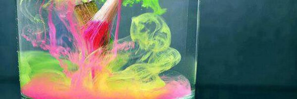 VioletsInBloom Profile Banner