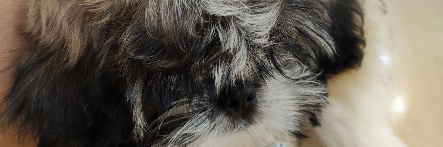 belocarms's profile banner image