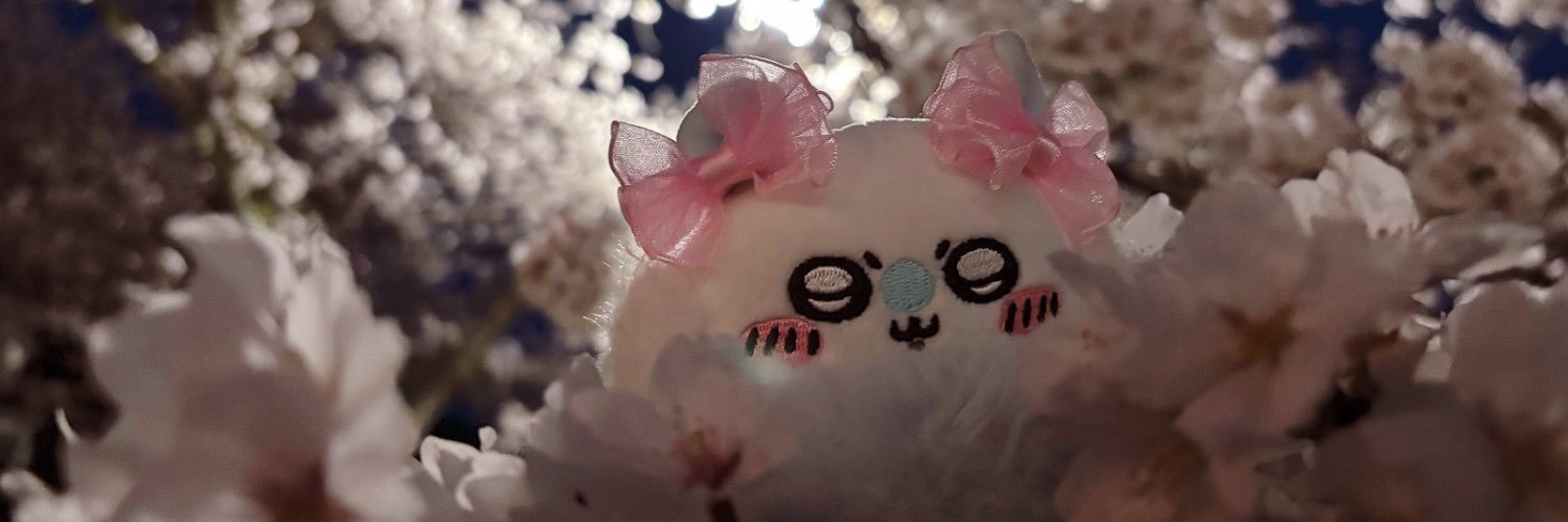 さちゃ banner