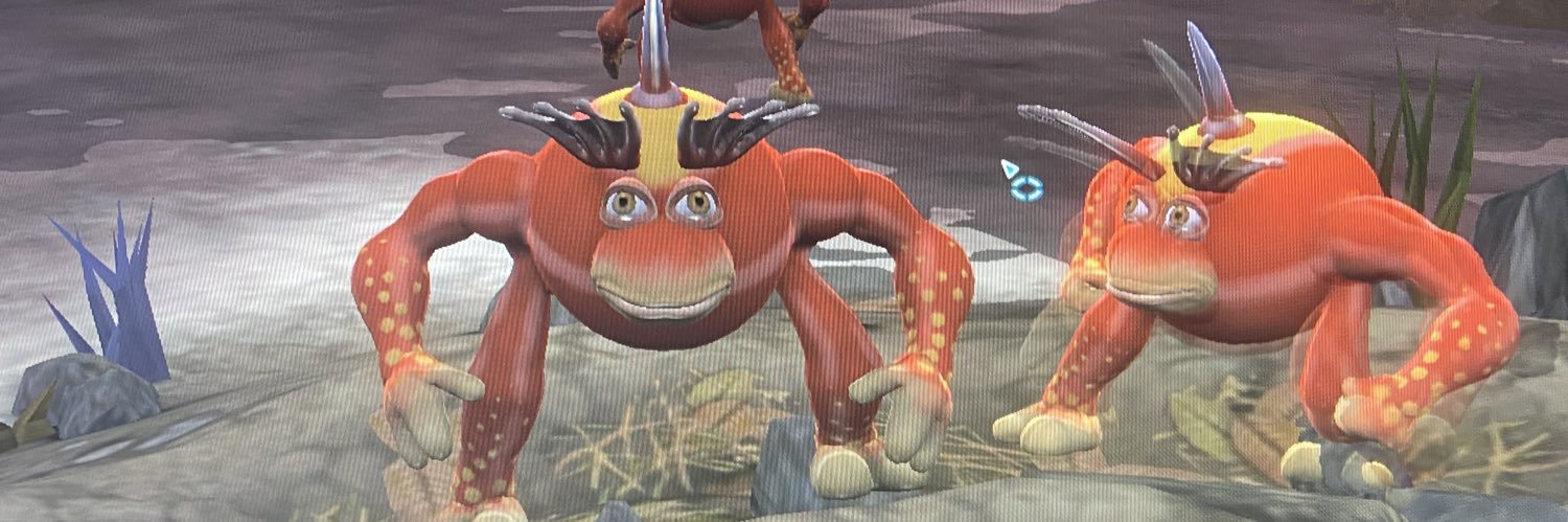 #1 wyomng fan banner