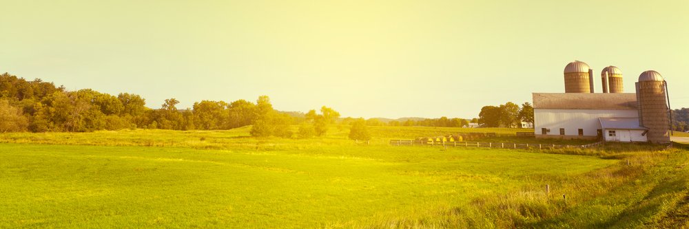 Meghan Grebner's banner
