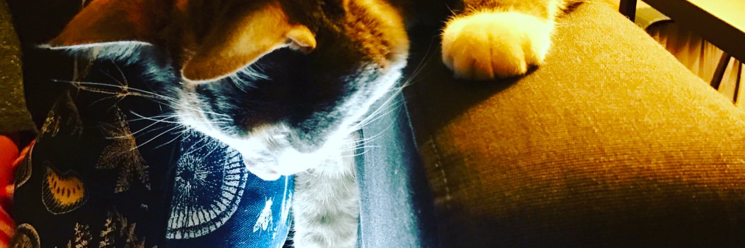 sissors's profile banner image
