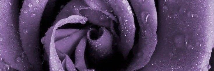 𝒢.💜 banner