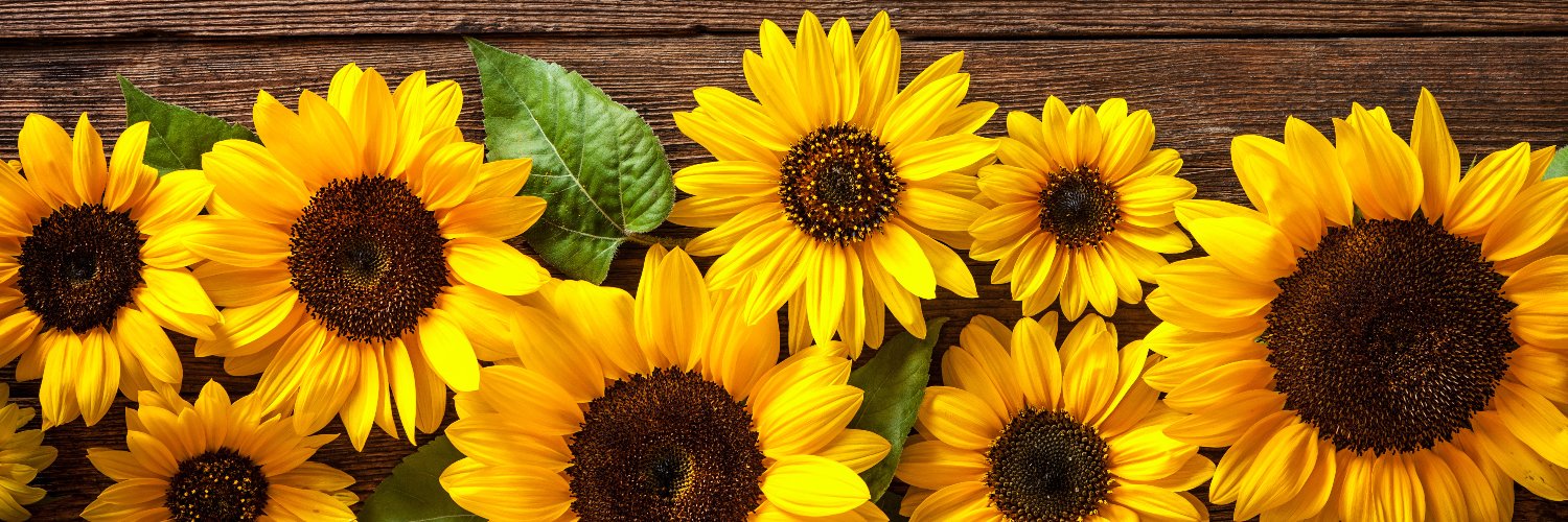 True Health magazine banner