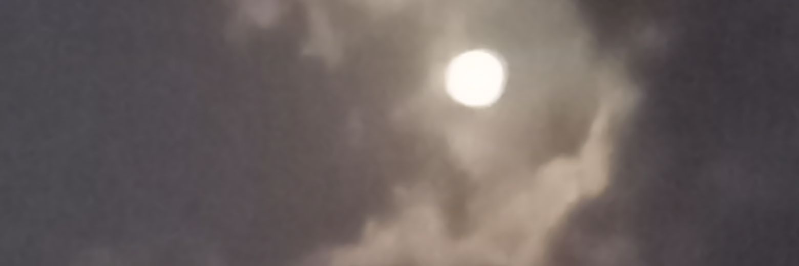 sush's banner