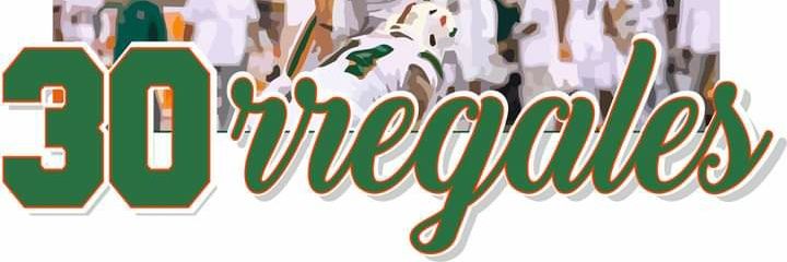 vivi banner