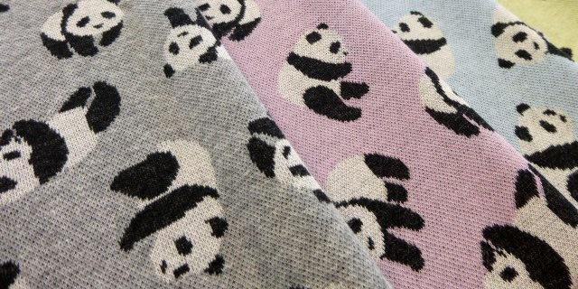 猫熊 banner