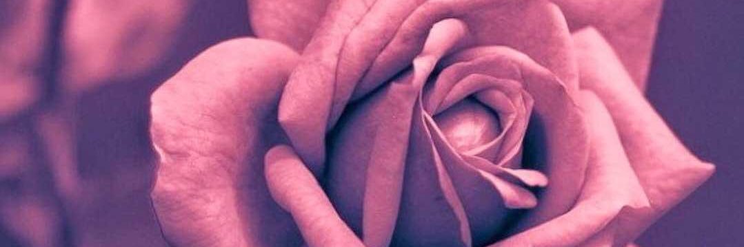 toleb2005's profile banner image