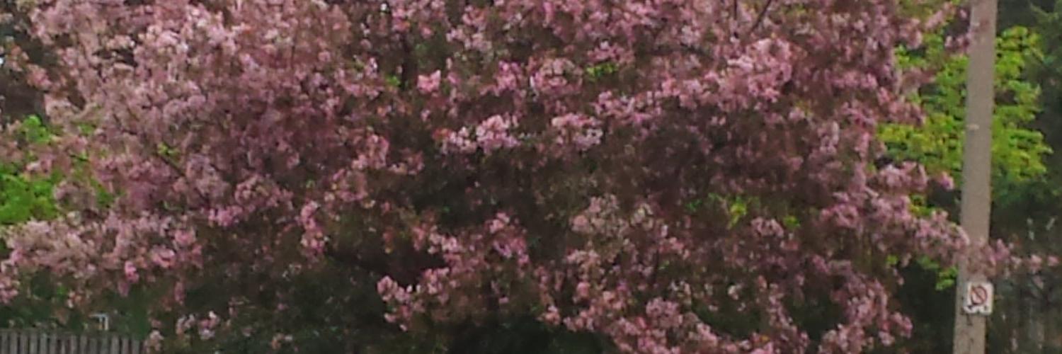 tgendun's profile banner image