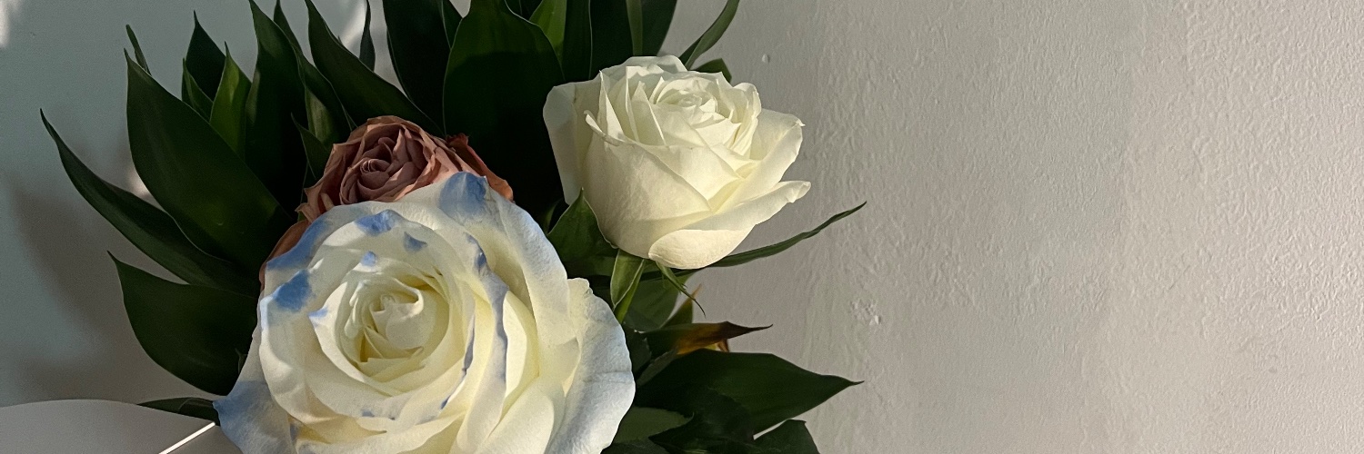 ziyao99's profile banner image