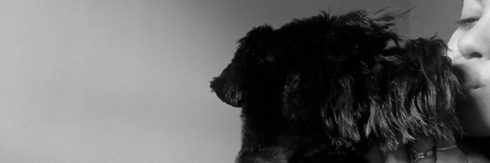 fiorellafroiz's profile banner image