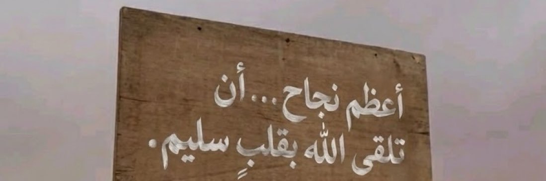 🪶 banner