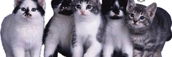 yukonsbieb Profile Banner