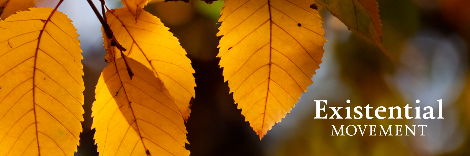 Existential Movement banner