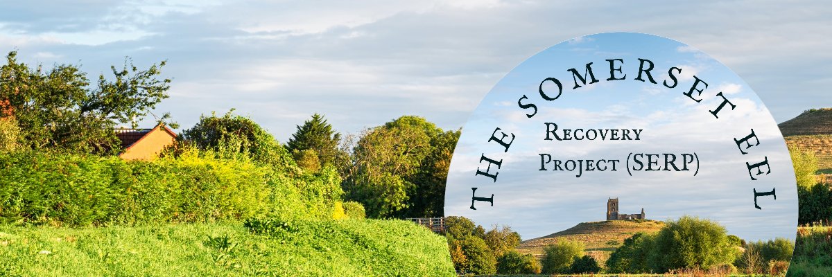 The Somerset Eel Recovery Project's banner