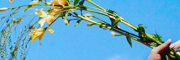 ziloonas's profile banner image