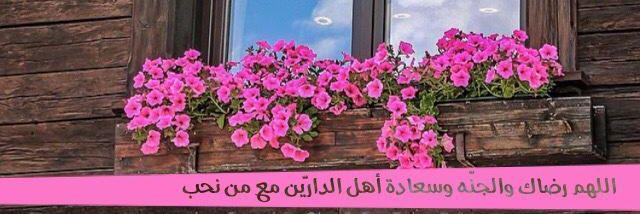 12Ltefa's profile banner image