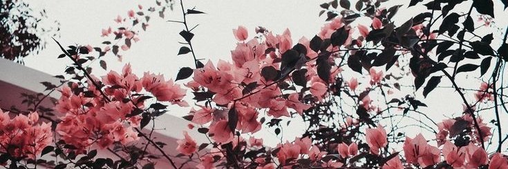 Luna Taylor banner