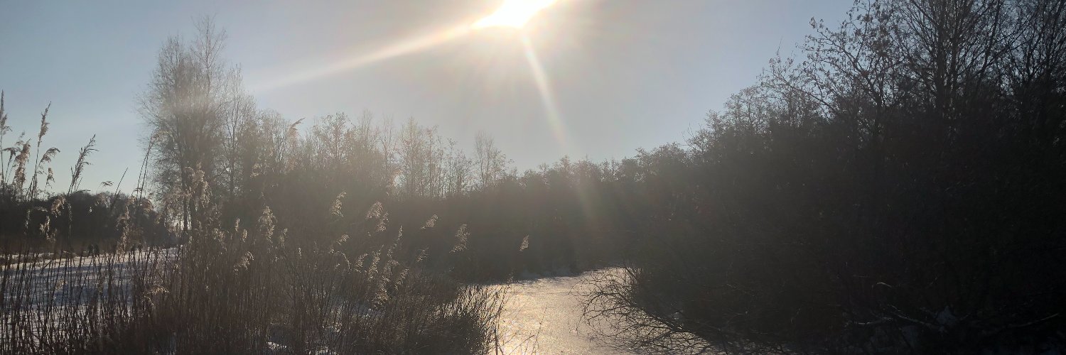 davidkoekoek's profile banner image