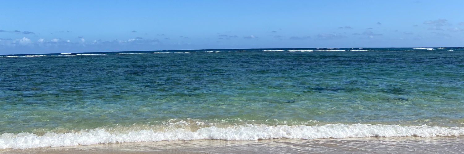 Shellyboyee's profile banner image
