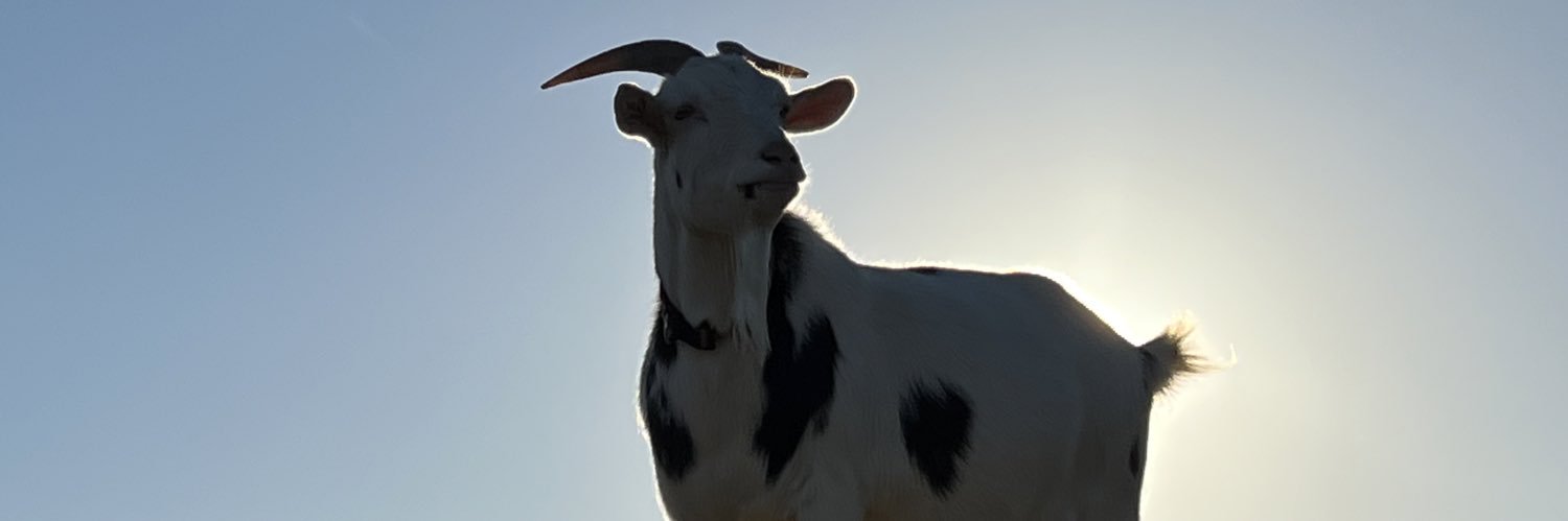 hosigarami's profile banner image