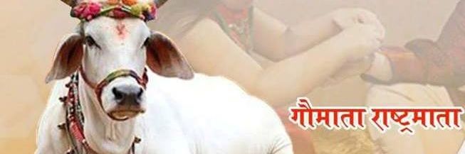_nirvikalp's profile banner image