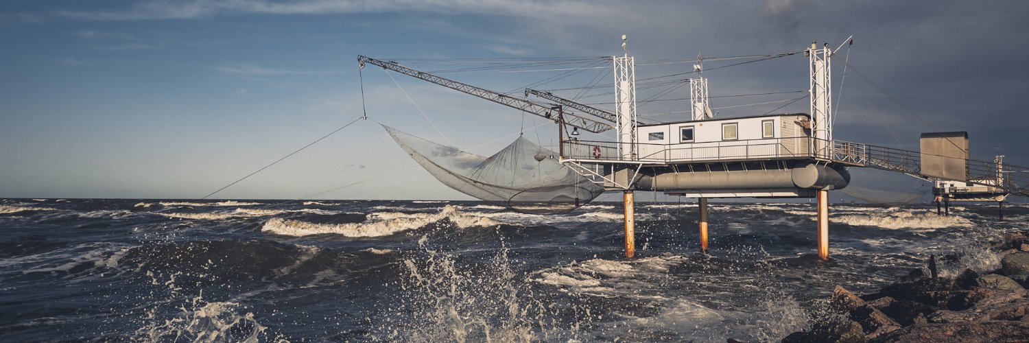 Giorgio Minguzzi banner