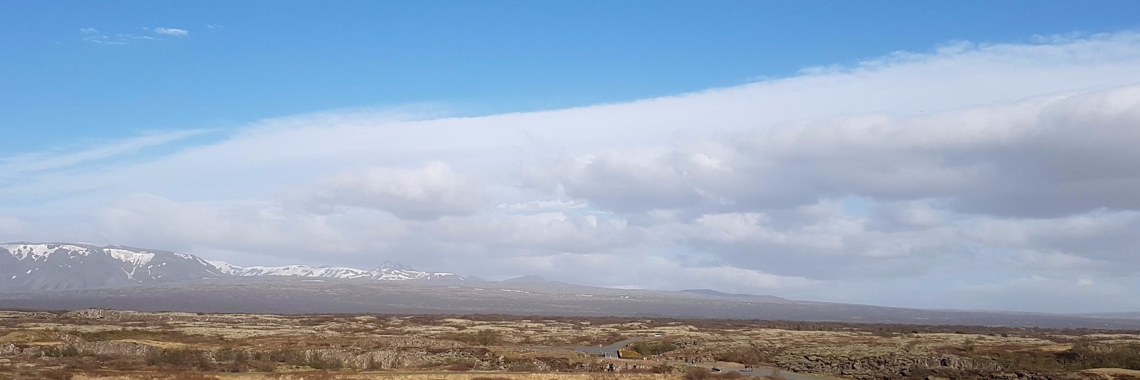 Susie Sullivan banner