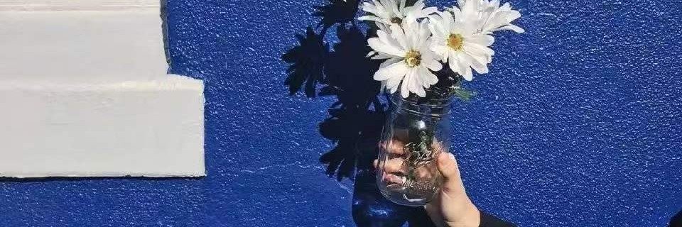 no_morenicotine's profile banner image