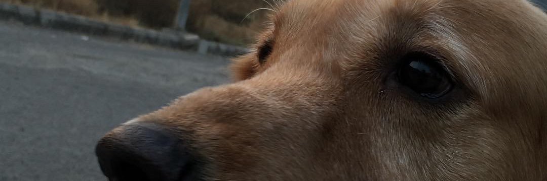 daddy_dmg's profile banner image