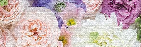 snftsn__06's profile banner image