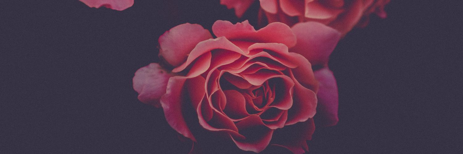 viinsp's profile banner image